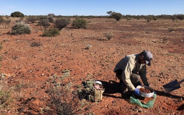 Draig Resources welcomes second high-grade gold find at Bellevue