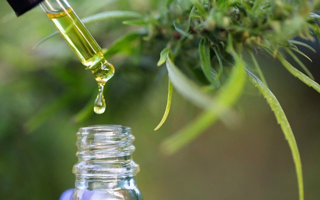 Drawbacks of the TGA’s cannabis changes for listed pot stocks