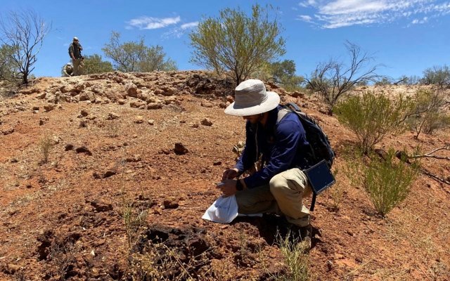 Dreadnought Resources discovers rare earth element intrusions at Mangaroon project