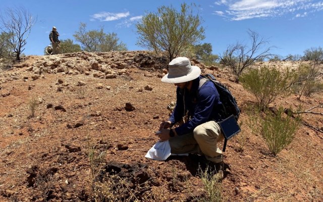 Dreadnought Resources discovers rare earth element intrusions at Mangaroon project
