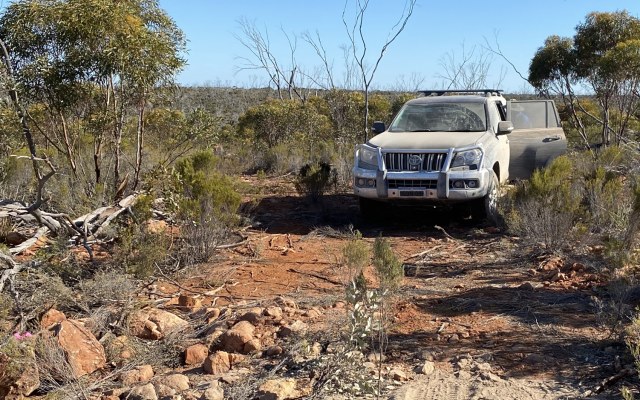 Dundas Minerals commences infill survey at North-East nickel-copper prospect