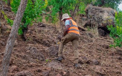 DY6 Metals uncovers extensive REE potential at Tundulu project in Mali