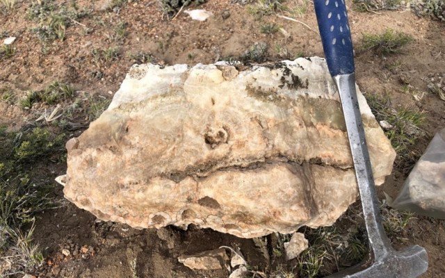 E2 Metals uncovers ‘encouraging’ mineralisation at vein trends within Conserrat gold-silver project