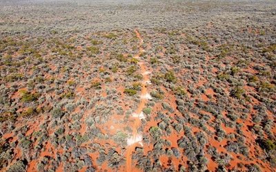 E79 Gold Mines boosts stake in Pinjin JV, completes gravity survey at Jungar Flats