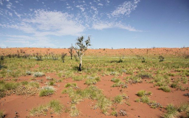 E79 Gold Mines identifies prospective area, increases drilling to 25,000m