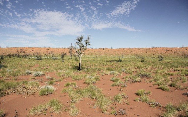 E79 Gold Mines identifies prospective area, increases drilling to 25,000m