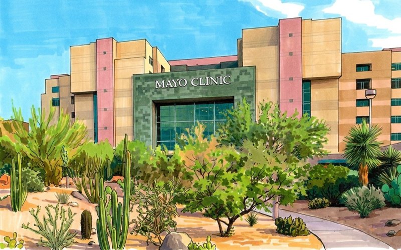 Echo IQ Secures Mayo Clinic Collaboration to Assess Cardiac Risk in Cancer Patients