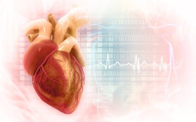 EchoSolv commercialisation and clinical studies dominate quarter for Echo IQ