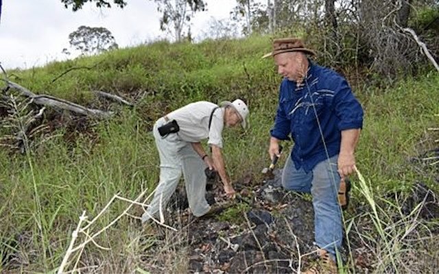 Eclipse Metals finds high-grade manganese in Queensland’s Amamoor forest