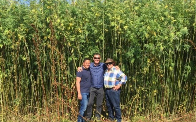 Ecofibre joins ASX to fast-track commercialisation of hemp-based products