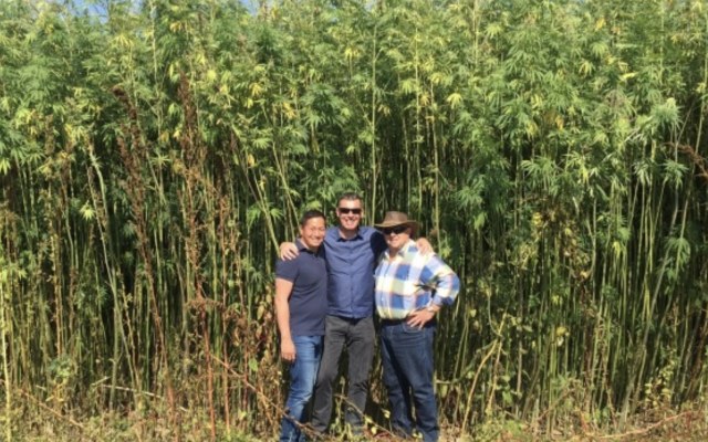 Ecofibre joins ASX to fast-track commercialisation of hemp-based products