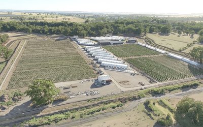 ECS Botanics Achieves Positive Cash Flow Breakthrough in September Quarter