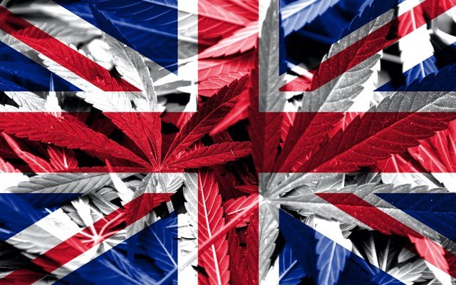 ECS Botanics makes first shipment of dried cannabis flower to UK