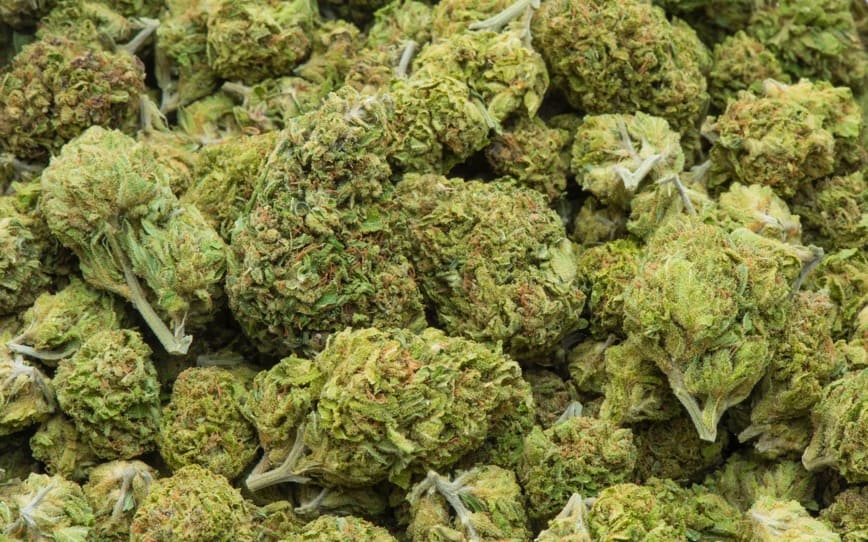 ECS Botanics signs medicinal cannabis supply deal with MediCann Health