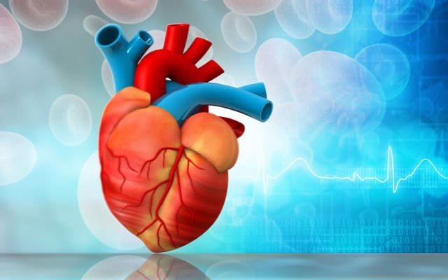 Edwards Lifesciences to release Sapien 3 Ultra Resilia valve in US after gaining FDA approval