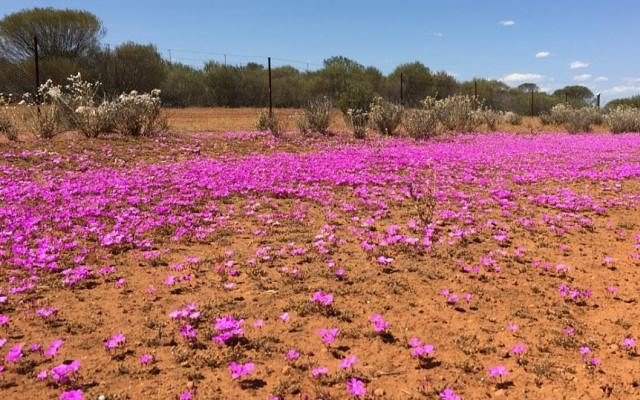 EganStreet Resources and Lion Selection Group welcome Silver Lake’s takeover bid