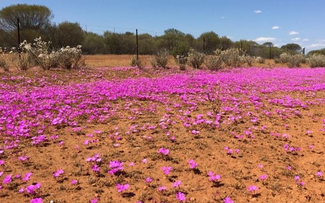 EganStreet Resources and Lion Selection Group welcome Silver Lake’s takeover bid