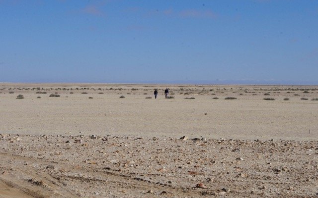 Elevate discovers 16km zone of uranium mineralisation at Capri target