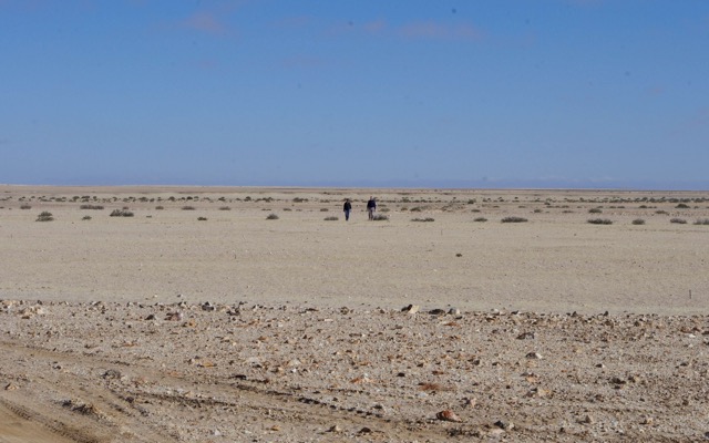 Elevate discovers 16km zone of uranium mineralisation at Capri target