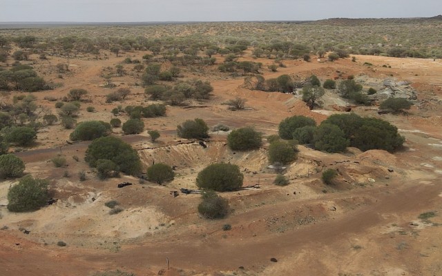 Emu NL transforms into WA-focused explorer, raises $1m