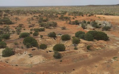 Emu NL transforms into WA-focused explorer, raises $1m