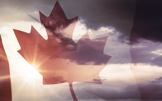 European Cobalt options Canadian gold property where drilling has hit high-grade mineralisation