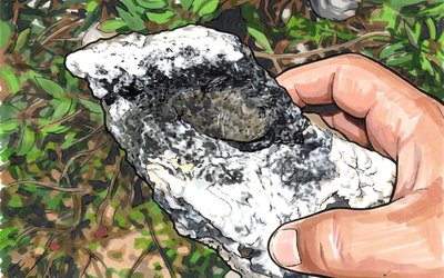 EV Resources Announces Maiden Exploration Target for Los Lirios Antimony Project