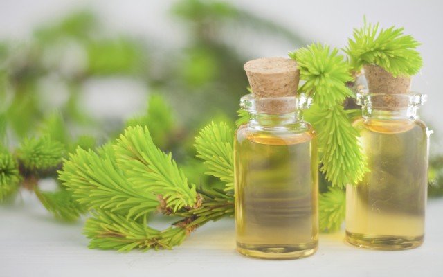 EVE Investments acquires leading Australian organic tea tree oil producer