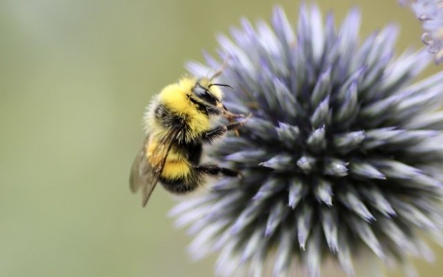 EVE Investments’ subsidiary Meluka Health locks-in research grant