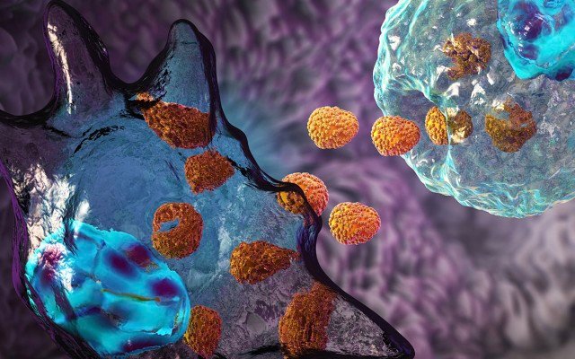 Exopharm publishes ‘positive and unique’ results for its exosome platform