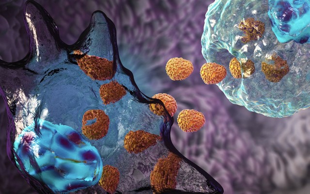 Exopharm publishes ‘positive and unique’ results for its exosome platform