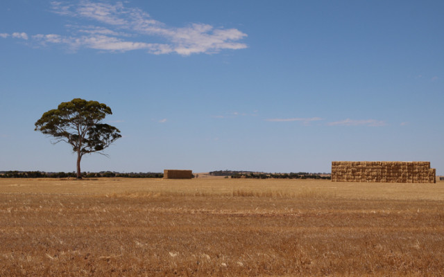 Explaurum digs into shallow gold at Mace shoring up WA’s new gold district