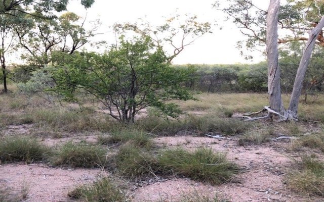 Far East Gold has breakthrough at Woyla, readies for drill rigs