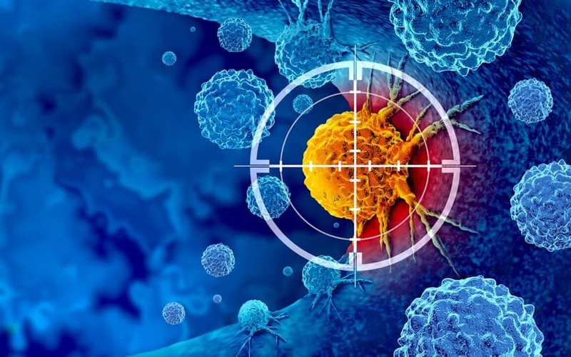 Faron Pharma reports improved remission rates from Bexmab Phase 1 trial to treat patients with aggressive cancers