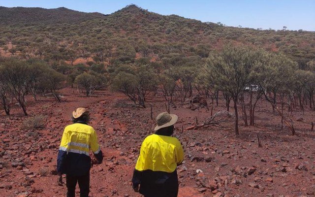 Fenix Resources reports high-grade iron ore intercepts from maiden RC drilling at Iron Ridge