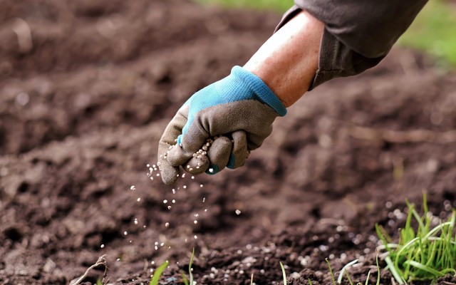 Fertiliser stocks surge as Russia suspends exports, Rio Tinto cuts ties, Zip continues to disappoint