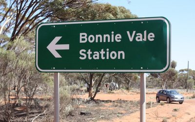 Forrestania Resources expands high-grade gold footprint at Bonnie Vale’s Ada Ann prospect