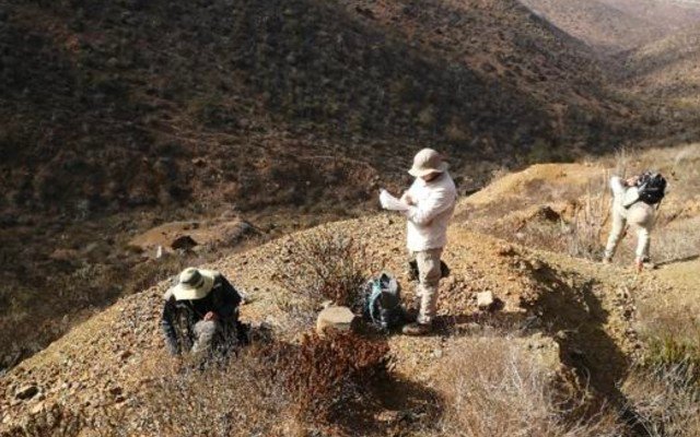 Freehill Mining discovers ‘huge’ potential copper structure at El Dorado from IP survey