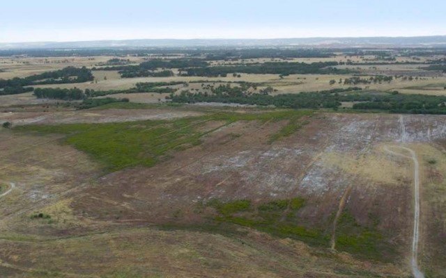 Frontier Energy resumes ASX trading after raising $8m to advance Bristol Springs solar project