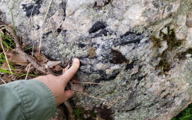 Galan Lithium and Lithium Australia discover new pegmatite at Greenbushes South project