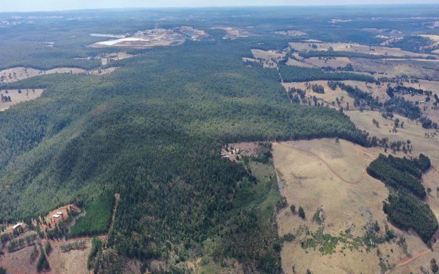 Galan Lithium discovers first pegmatite lens at Greenbushes South