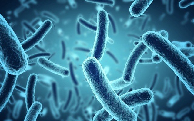 Genetic Signatures secures ‘major’ sales contract for EasyScreen respiratory technology