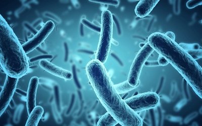 Genetic Signatures secures ‘major’ sales contract for EasyScreen respiratory technology