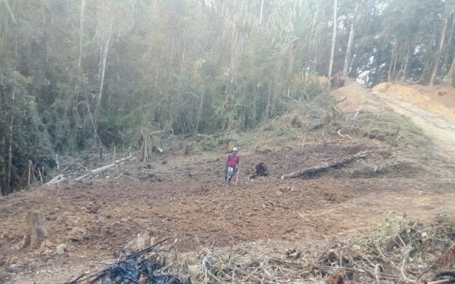 Gold Mountain pannings turn up cobalt at Crown Ridge gold asset in PNG