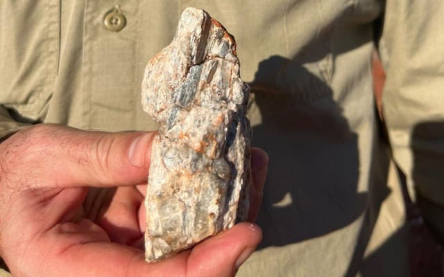 Gold talk at Diggers drowns-out lithium discovery news