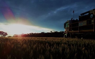 Golden Mile discovers more shallow nickel and cobalt at Quicksilver project