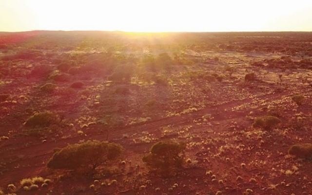 Great Western verifies continuation of high-grade gold zone at Yandal West