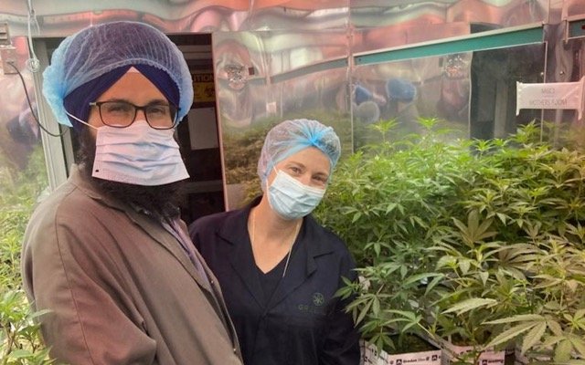 Greenlab joins forces with Helius Therapeutics to develop targeted medicinal cannabis treatments