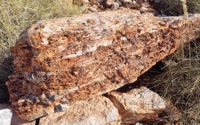 GreenTech Metals discovers high-grade lithium pegmatites at Ruth Well project