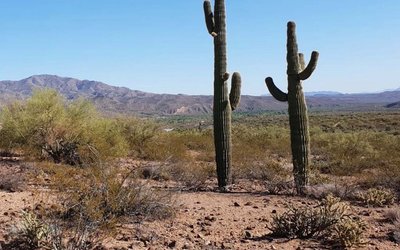 High-grade assays see Hawkstone Mining increase landholding at Western Desert gold-copper project